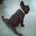 Jaco  pretorius - @Domboll323 - Twitter