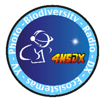4M5DX Group (@4m5dxgroup) 's Twitter Profile