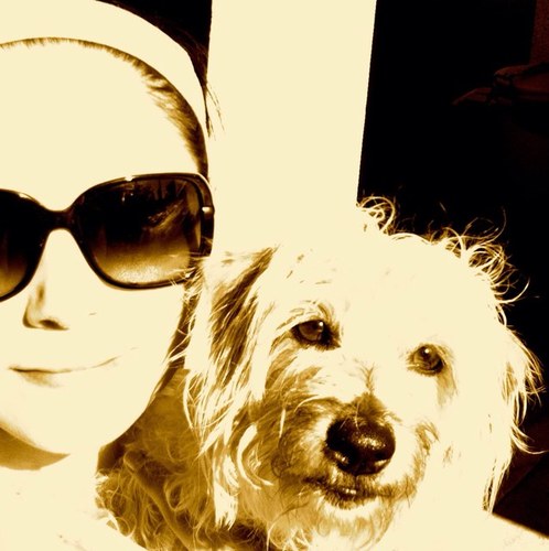 Canadian & Dutch with a great love for Dachshunds & Dogs - But most of all Rescues!! I Love Rescues.. Save a Dog - Save a Life! Please Don't Shop - Adopt : )