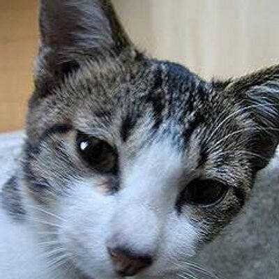 ori