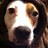 elLemB52's profile image
