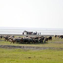 mahamudkabir's profile picture. 