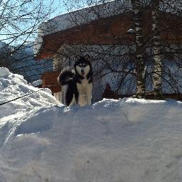 dannyvanvliet's profile picture. 