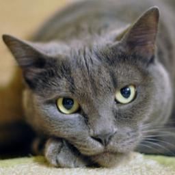 kwon_dongho's profile picture. 