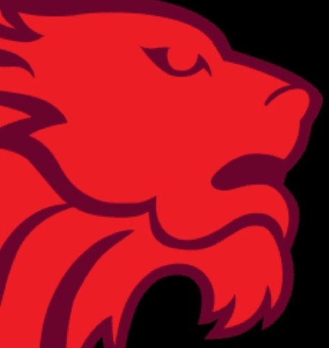 The official Twitter page for Red Lion Foods, contributing 100% of our post-tax profits to UK forces' charities and causes.
