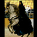 Ms mamman (@amynah10) Twitter profile photo Ms mamman (@amynah10) Twitter profile photo