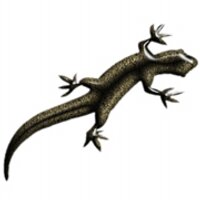 Wydawnictwo Lacerta (@lacertapl) 's Twitter Profile