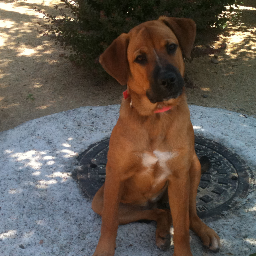 mpulse50's profile picture. 