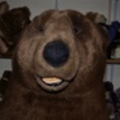 Rory is the big daddy of all the Cotswold Bears! He's 7ft tall and loves honey!