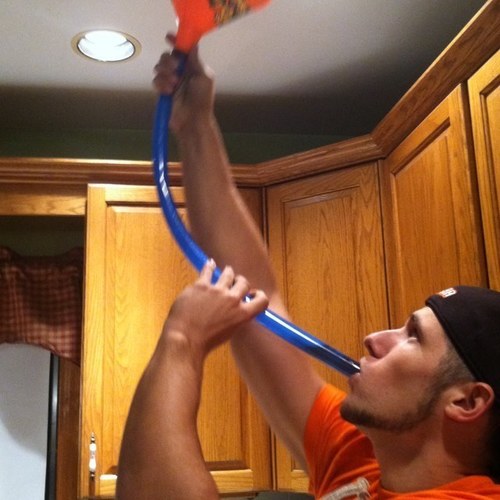 nickyc16's profile picture. 