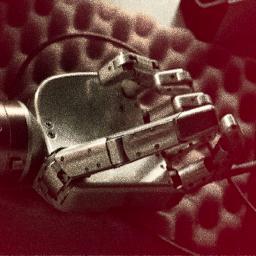 MonicaMalvezzi's profile picture. Ricercatrice di Meccanica