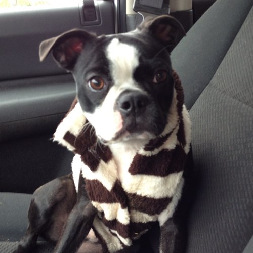 kelleygoldsmi's profile picture. If HGTV & RFD-TV had a baby, that baby is my life