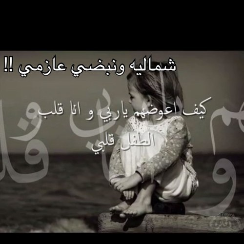 habaryq8 Profile Picture