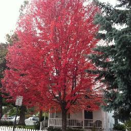 Missing_My_Halo's profile picture. Wild. Crazy. Random. Fun and Friendly.
Come on don't be shy. Say Hi! :)