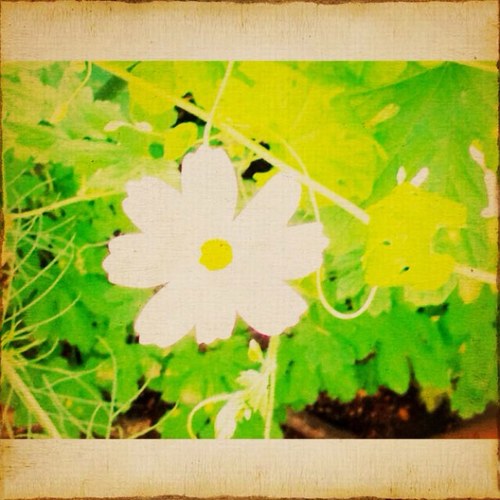 reloadhero's profile picture. 全力でテニプリクラスタ！夢サイトやってます。 立海に愛を捧げて生きてる。 腐発言もばっちこいな雑食系女子。 常にときめきの種を探しております！ お気軽にフォローしてください！(´∀｀=)