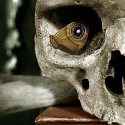 DrakenWrA's profile picture. Men fear death,as if unquestionably the greatest evil,and yet no man knows that it may not be the greatest good.(WrATwitter)