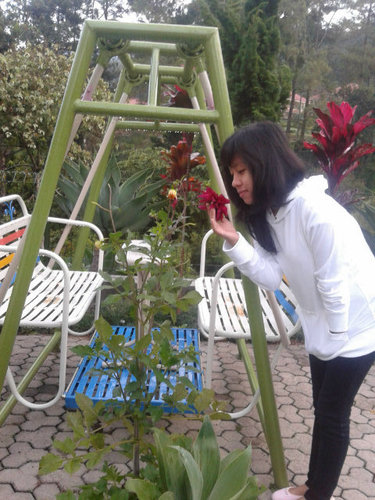 marlynmanullang's profile picture. hidupku adalah pelayanan;