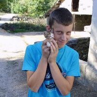 Marko Stepanovic (@markostepa) 's Twitter Profile