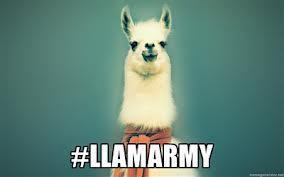 Oh you know...we are just THE LLAMARMY, And our leader is just the INTERNET CULT LEADER, @Danisnotonfire :) http://t.co/tLourvN4