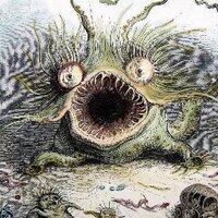 THE_inteins (@the_inteins) 's Twitter Profile