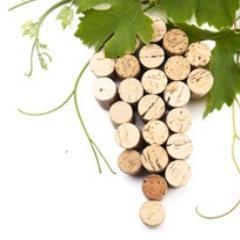 Onafhankelijke sommelier, wijnadvies, wijnproeverijen, wijncursus, SDEN1, 2 en 3, wijn-spijs, register wijndocent. maatwerk