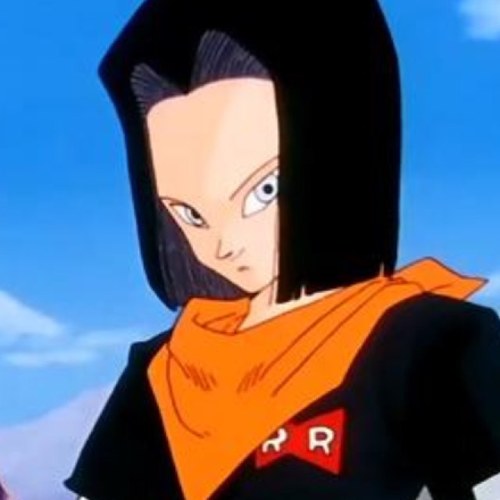 I'm Android 17. My sister is @TheAndroid_18. My future counterpart is @FutureCyborg17.