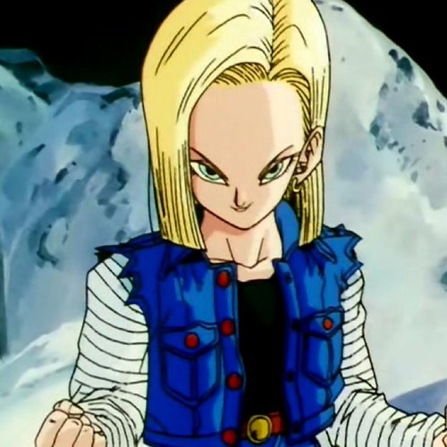 I'm Android 18. My brother is @TheAndroid_17. My future counterpart is @FutureCyborg18.