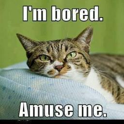 ChristineFarre8's profile picture. Courage is being scared to death - But saddling up anyway. ~ John Wayne