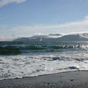 Shannon Ketcham - @Mamabear88 - Twitter