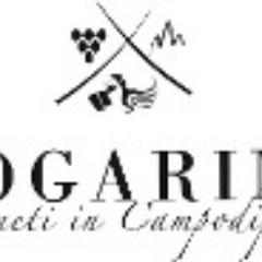 L'az. agr. DOGARINA di Salgareda (TV) con oltre 100 ettari di vigneto offre Vini e Spumanti di carattere ed eleganti. Degustazioni, Wine Shop e visite guidate