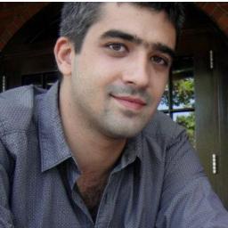 Mihai Guiman Profile