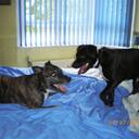 Jane Manley- Farrell - @NVQAssessor - Twitter