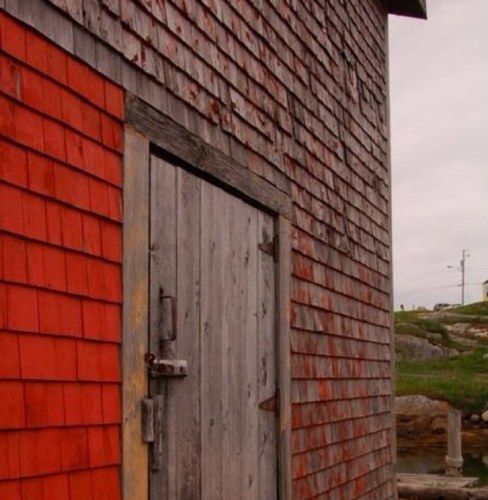 Tracekin's profile picture. 