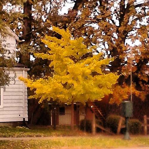 gay_confession's profile picture. this account is for anyone who would to make a confession any time, any place anywhere.