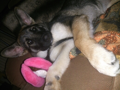 brownyb9's profile picture. 