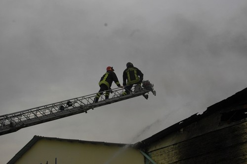 PompieriS's profile picture. 