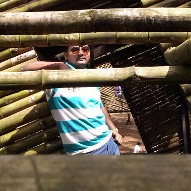 skyoyosachin's profile picture. 