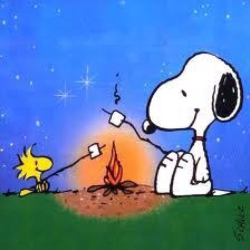 marikoren's profile picture. 柏木でもなくなりました。