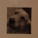 Blaine Murphy - @backtablepies - Twitter