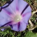 philip canady - @philip95485837 - Twitter