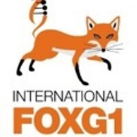 IFF FOXG1 (@iff_foxg1) 's Twitter Profile