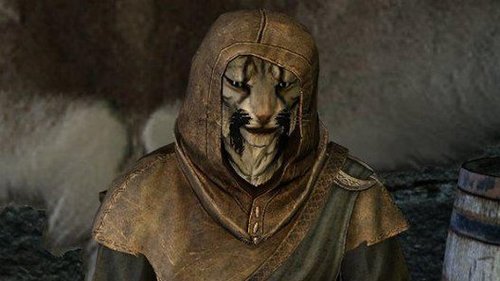Khajiit de las Altas Tierras de Skyrim. Aprendiz de asesino en Constantinopla. Daltónico perdido. A veces convulsiono bolas de pelo.