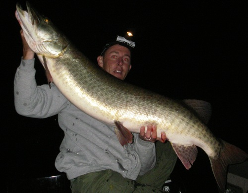Pulling lines on Lake Ontario and the St. Lawrence River looking for trophy fish aboard the Irish Hammer