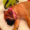 sarah ellen liles - @saraheliles - Twitter