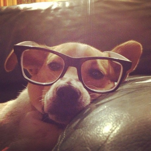 icon by @directioner1__ ...... l' ha fatta lei....3