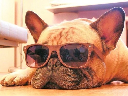 Salvator_111's profile picture. 