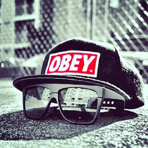 DfWsnaps's profile picture. Also find us on Facebook & Instagram.