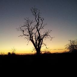 UK wildlife, nature tweets and views from a roaming ecologist! :-)