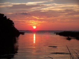 floridagirl1959's profile picture. 