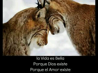 PsicGSPugaC's profile picture. 